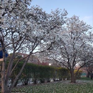 Meet your Posher, Ranjit